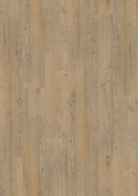 hellofloor202609201137592959082