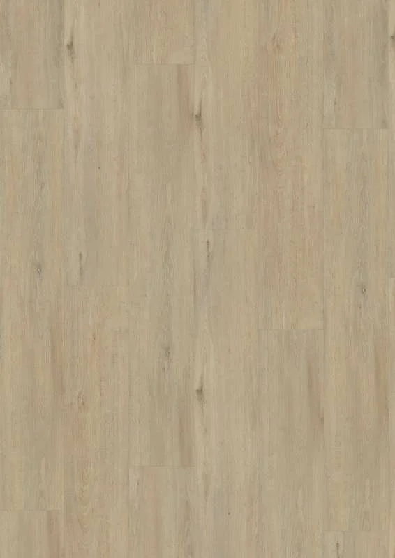 hellofloor202609201142182959571