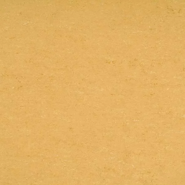 hellofloor202609201151222960553