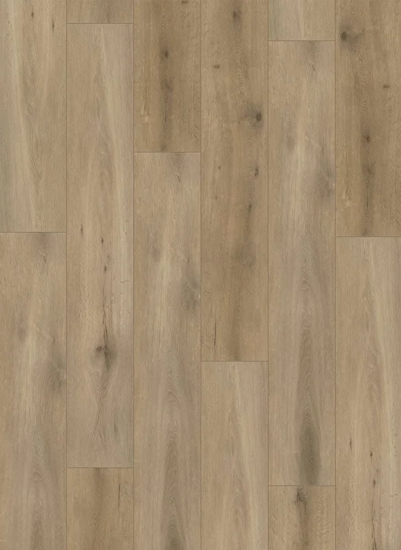 hellofloor202609201215002963560