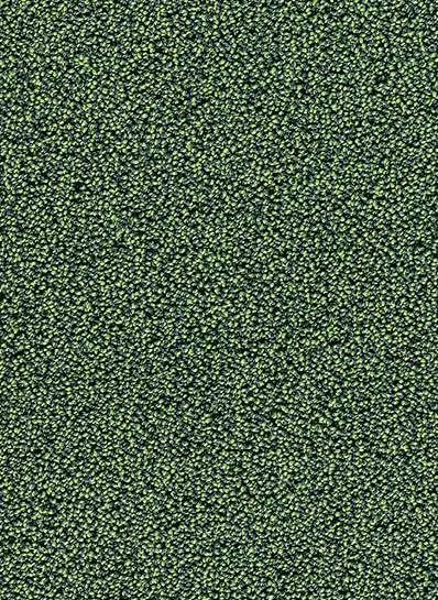 hellofloor202609201227472965537