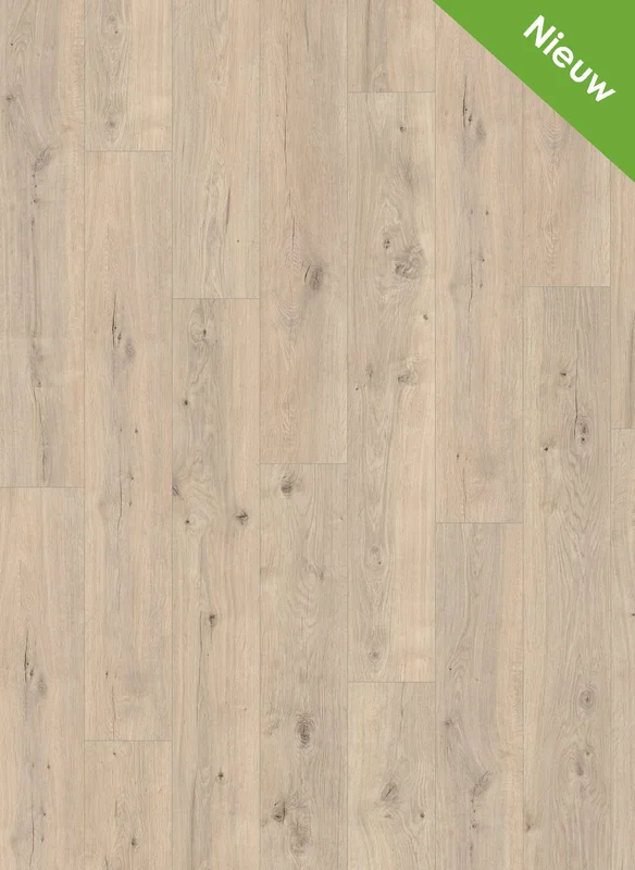 hellofloor202609201230392966057