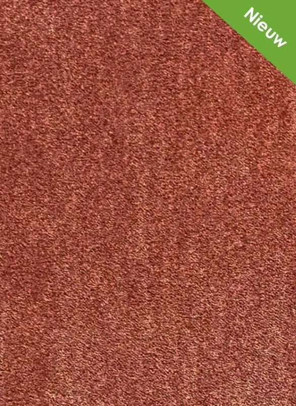 hellofloor202609201232452966417
