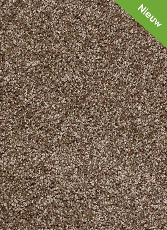 hellofloor202609201234032966627