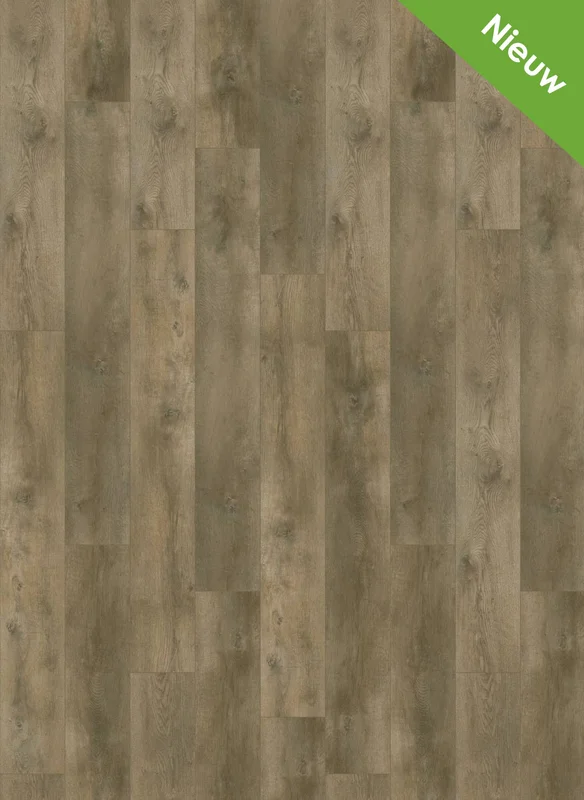 hellofloor202609201234302966705