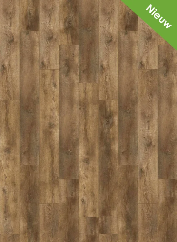 hellofloor202609201234412966738