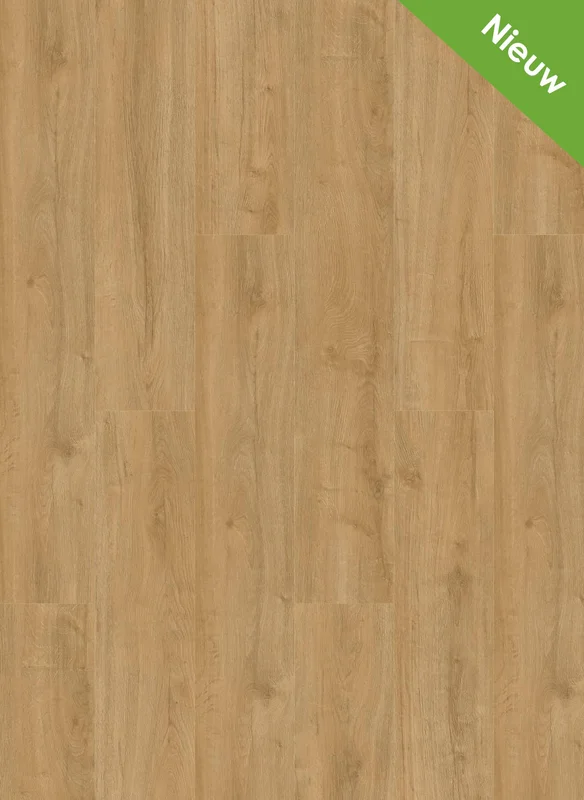 hellofloor202609201234522966762