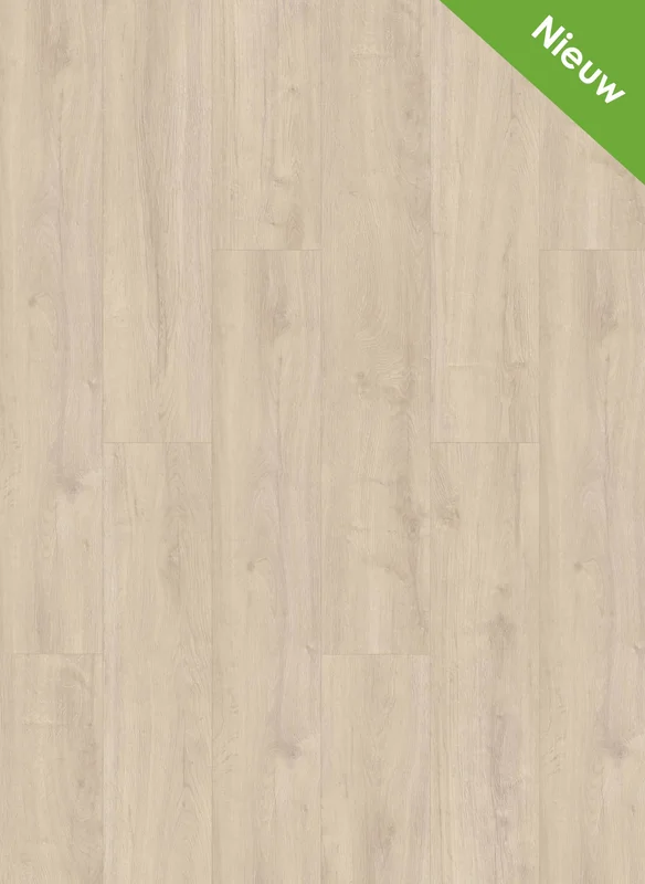hellofloor202609201235032966797