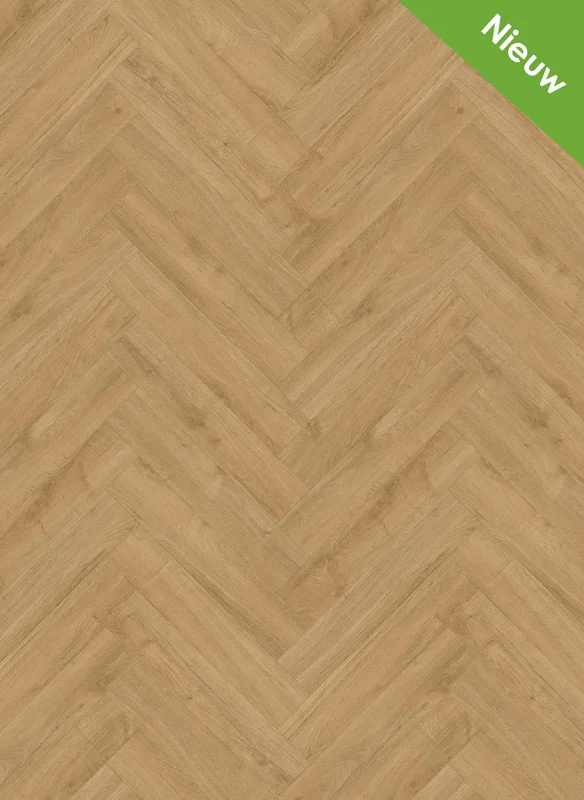 hellofloor202609201235252966853