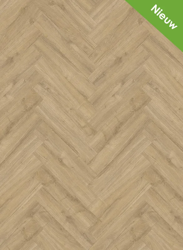 hellofloor202609201235302966870