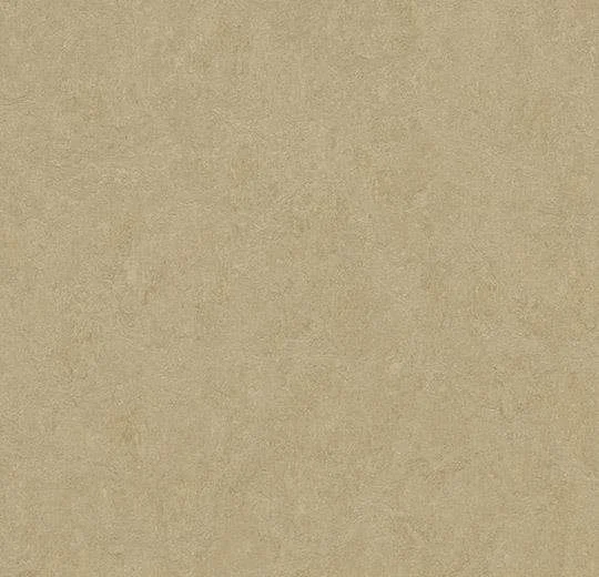 hellofloor202609201239412967534