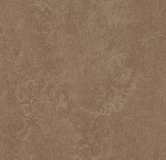 hellofloor202609201239482967553