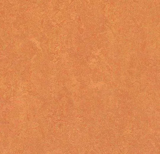 hellofloor202609201239582967583