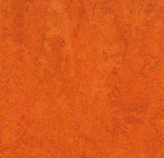 hellofloor202609201240092967619