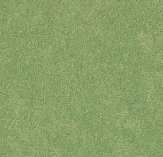 hellofloor202609201240412967720