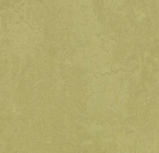 hellofloor202609201240462967736