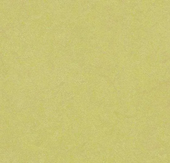 hellofloor202609201240512967753