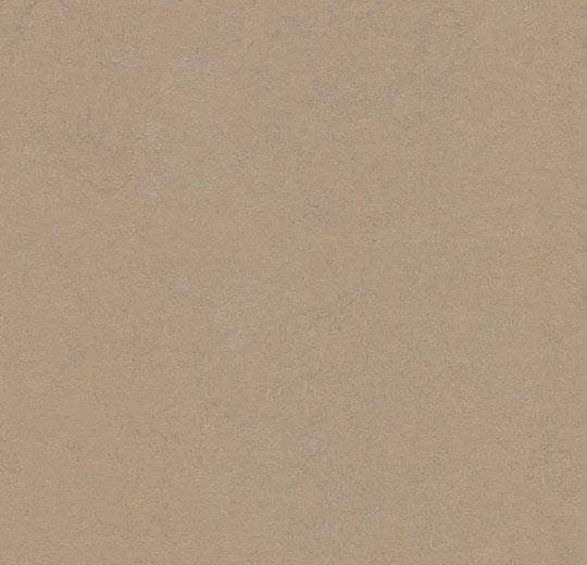 hellofloor202609201242122968003