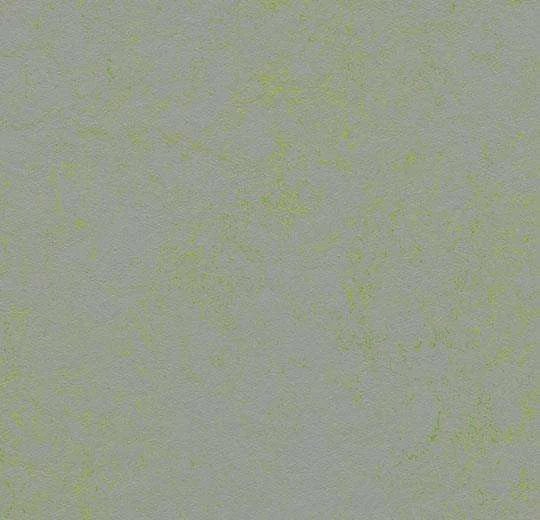 hellofloor202609201242492968116