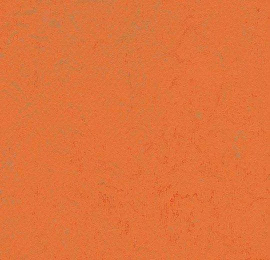 hellofloor202609201243052968155