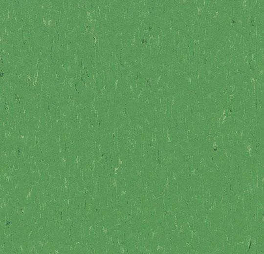 hellofloor202609201243392968256