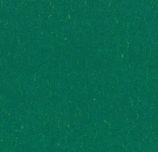 hellofloor202609201243442968274