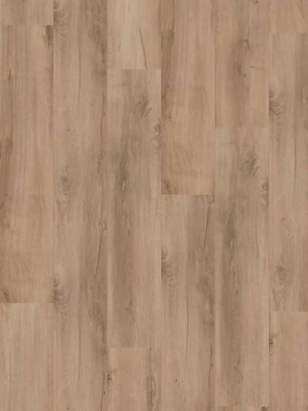 hellofloor202609201247032968873
