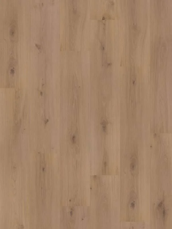 hellofloor202609201247122968906