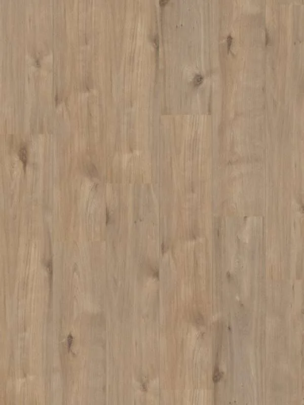hellofloor202609201247172968915