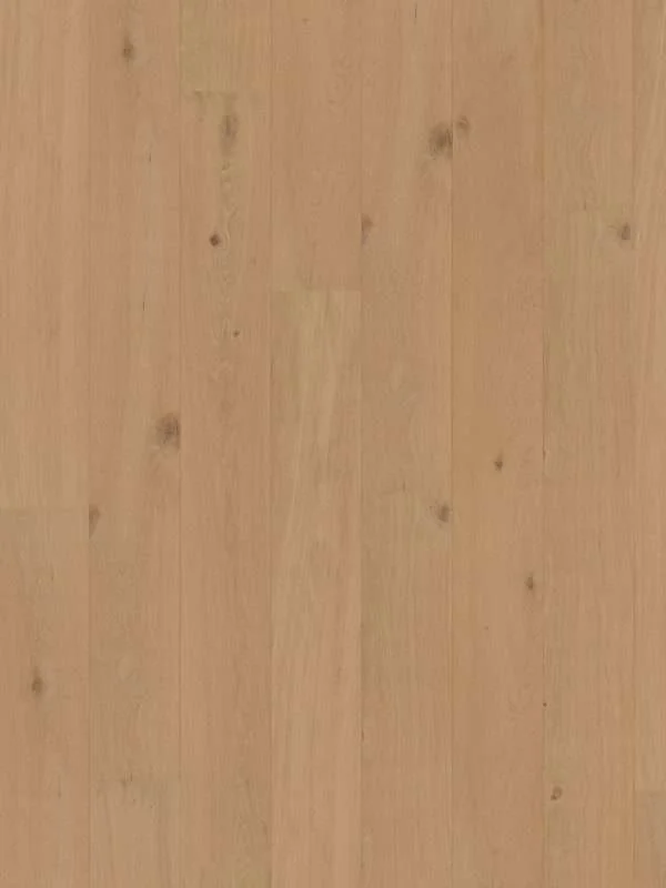 hellofloor202609201248042969067