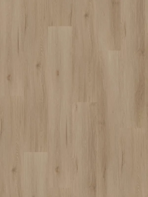 hellofloor202609201248292969157