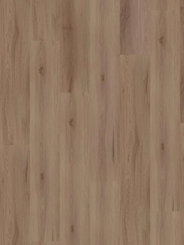 hellofloor202609201248332969170