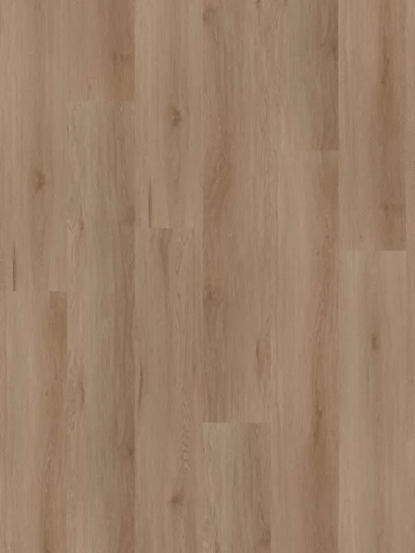 hellofloor202609201248362969181