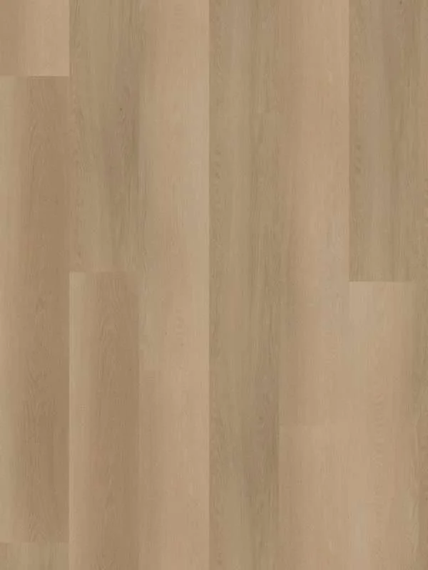 hellofloor202609201248472969221