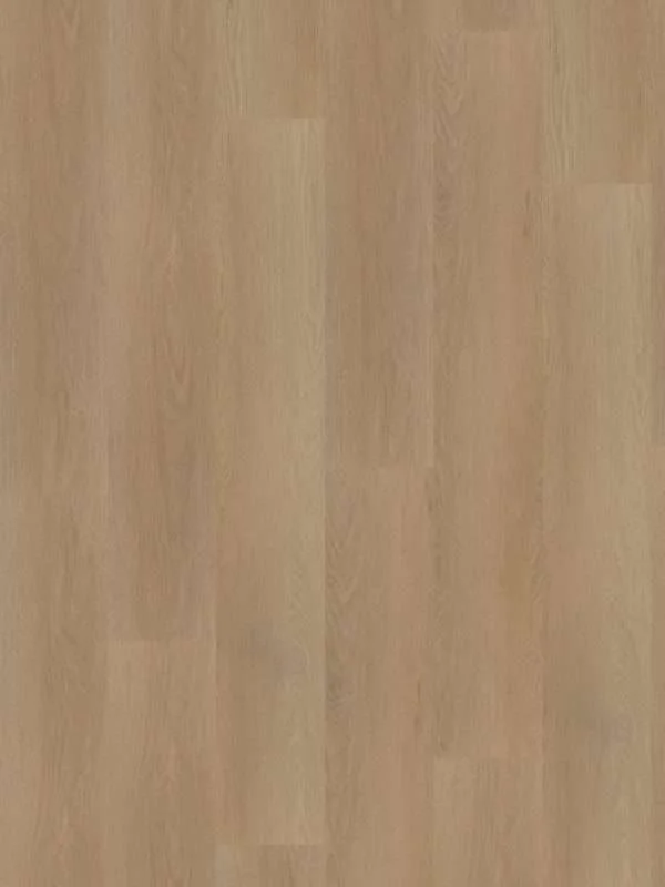 hellofloor202609201248522969235