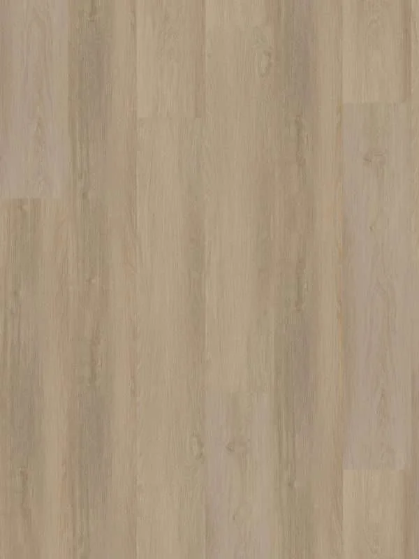 hellofloor202609201248562969252