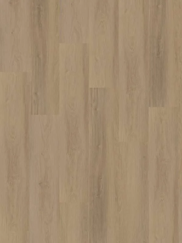 hellofloor202609201248592969260