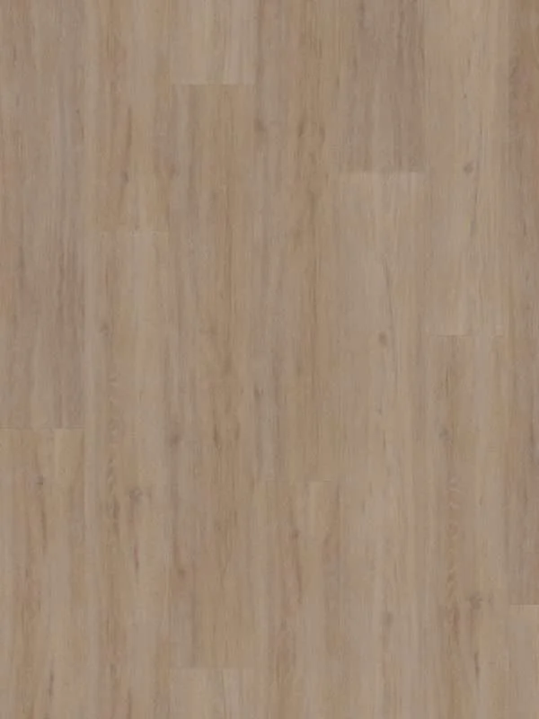 hellofloor202609201249382969385