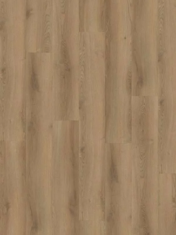 hellofloor202609201250182969509