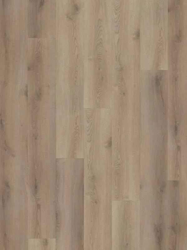 hellofloor202609201250232969520