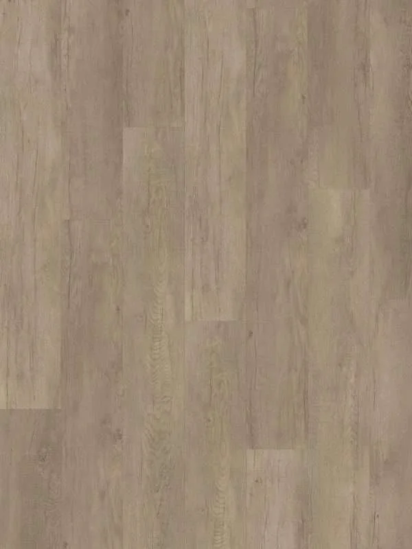 hellofloor202609201250272969535