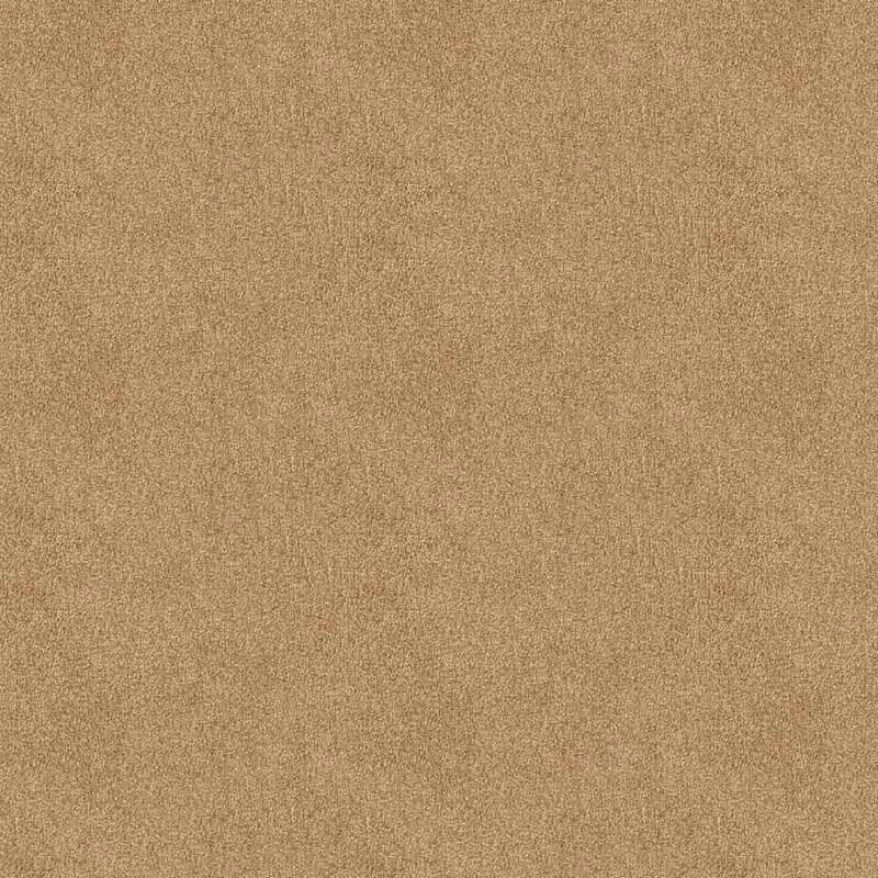 hellofloor202609201307452972994