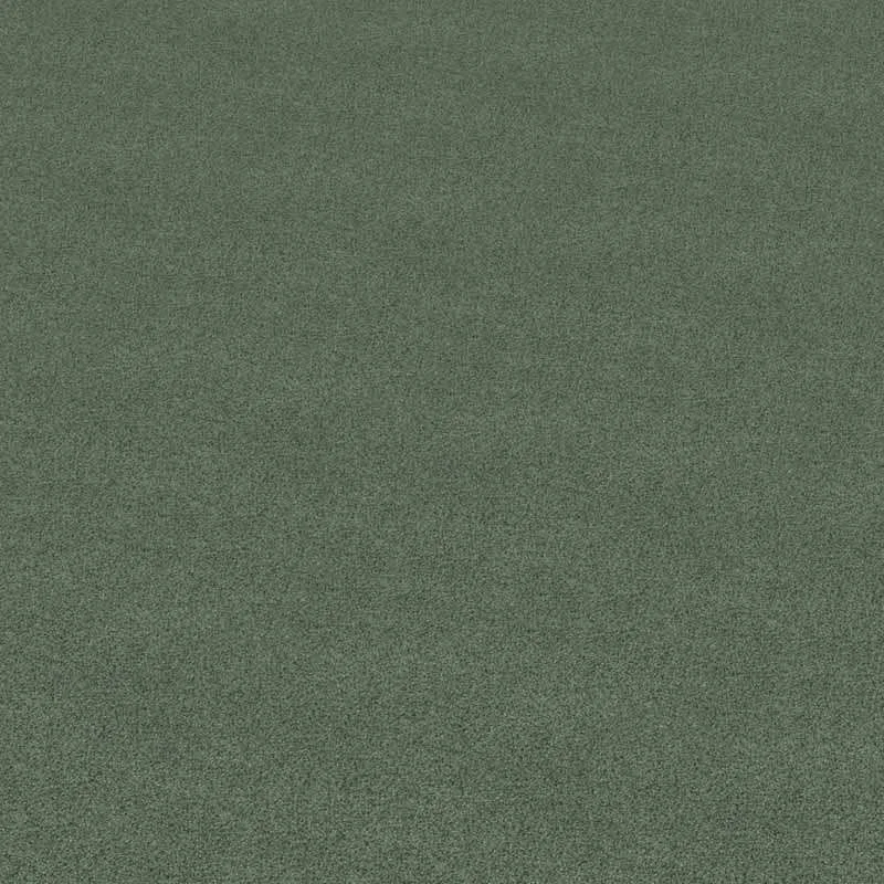 hellofloor202609201323372975906