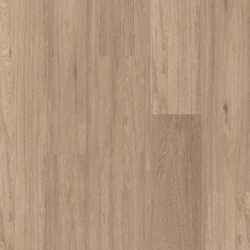 hellofloor202609201338102978828