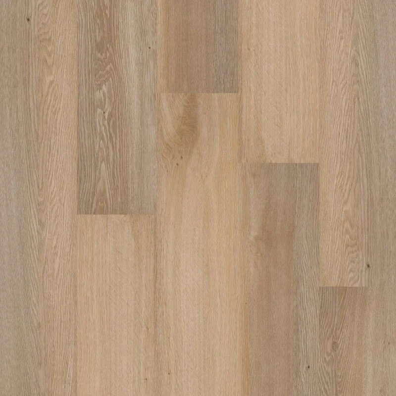 hellofloor202609201339352979086