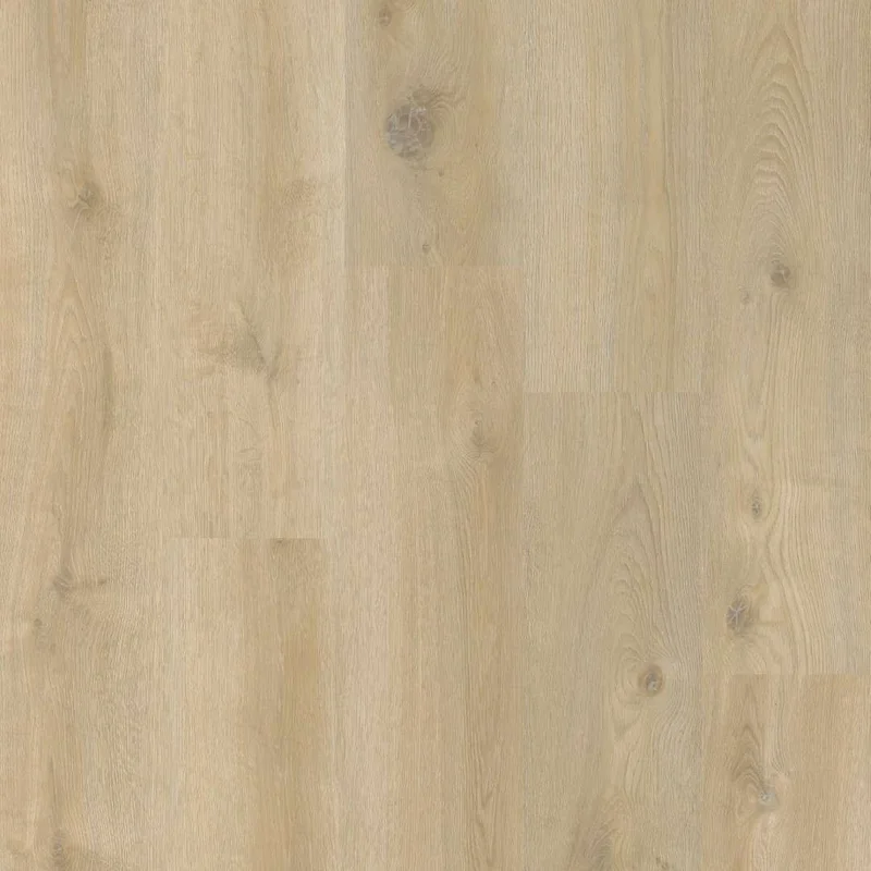 hellofloor202609201341542979491