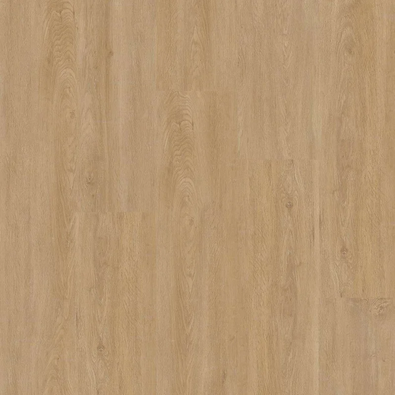 hellofloor202609201343022979695