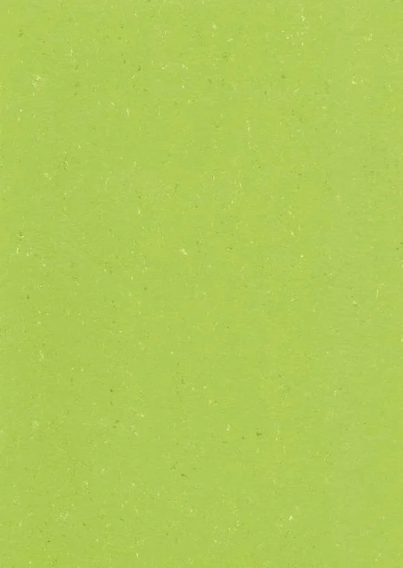 hellofloor202609201357172982039
