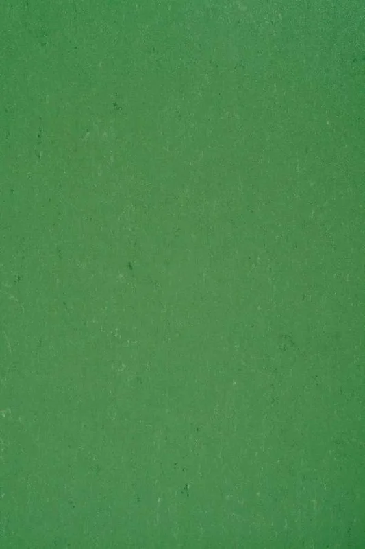 hellofloor202609201358212982209