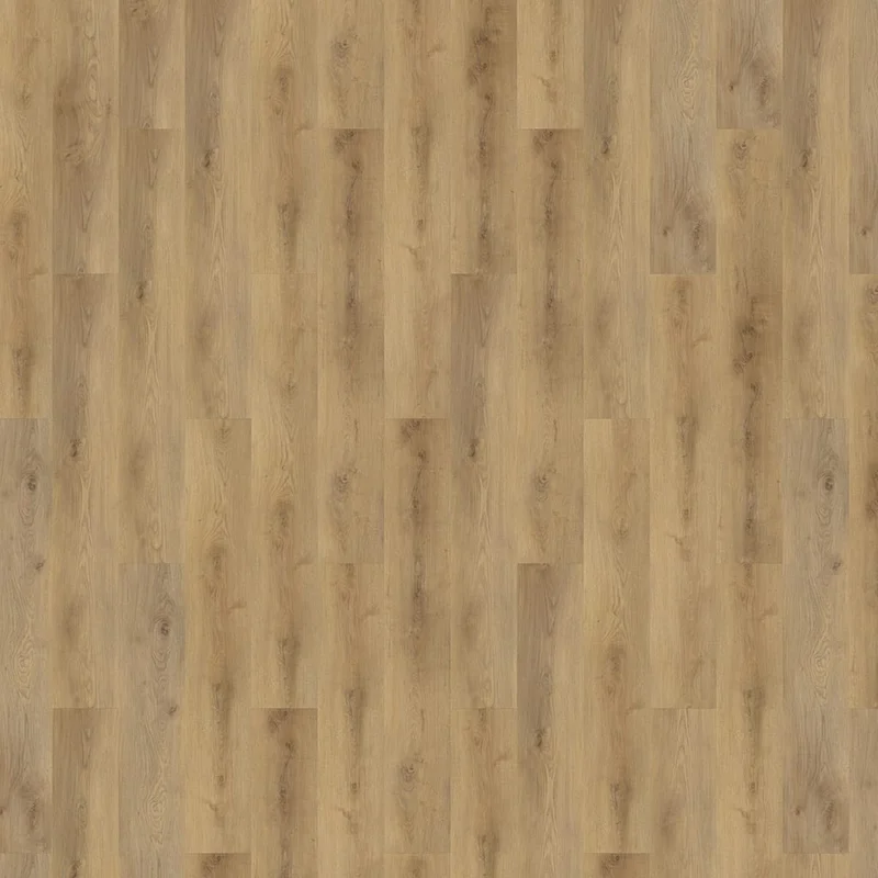 hellofloor202609201359552982456